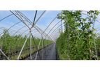 Haygrove - High Air Volume And High Strength Polytunnels For Optimal Substrate Production