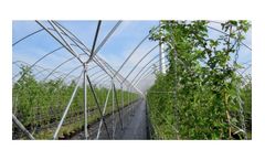 Haygrove - High Air Volume And High Strength Polytunnels For Optimal Substrate Production