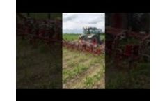 Model SH/SX/ DIANA - Biological Inter-Row Cultivators with with Tines and Discs Video