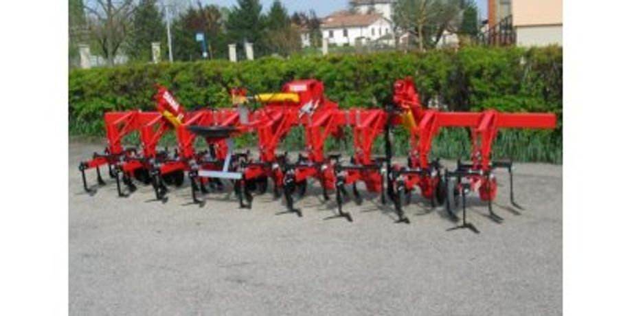 Model SHn/SXn/ Diana - Biological Inter-Row Cultivators with with Tines and Discs