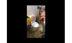 Toilet Inspection: 1 Drain Camera VIPER Video