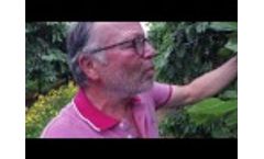 Frostbuster Schmitt Meckenheim (Germany) - Video