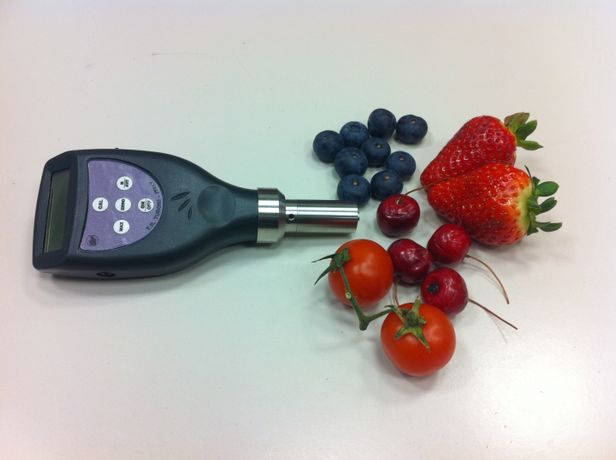 Turoni - Model 53215TP - Fruit Hardness Testers Flat Tip
