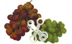 Turoni - Model 53315 - Table Grape and Small Fruit Sizer