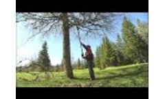 Professional electric polesaw Selion Video