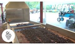 Sorting berry by berry: Selectiv??? Process Vision 2 | Pellenc Group - Video