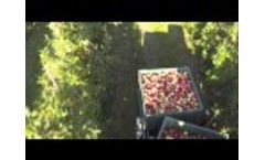 piuma 4wd - Apple Harvesting Video