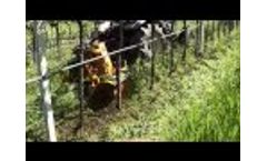 BioAgri mechanical weeding, first cut vintage 2013. Customer Valpolicella (VR) Video