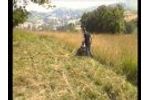 Lawn Mower Casorzo P150R Video