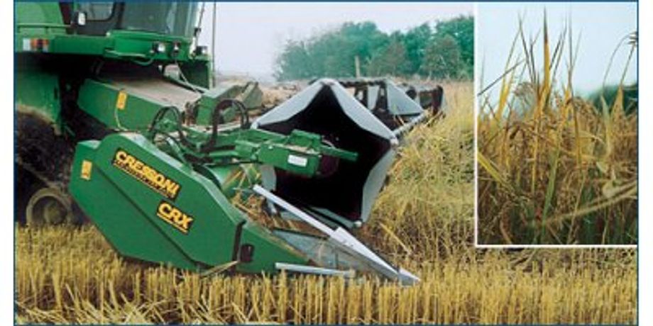 Model CRXRice - Rice Harvesting Folding Grain Platforms System