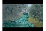 Winder olives networks with CRF Aspirator 2012 Video