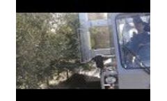 Athena Olive Continuous Harvester Video