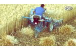 BCS 3 Wheel Reaper Binder Wheat Harvesting Solution - Video