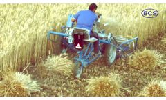 BCS 3 Wheel Reaper Binder Wheat Harvesting Solution - Video