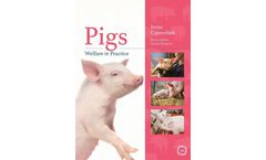 Pigs Welfare in Practice