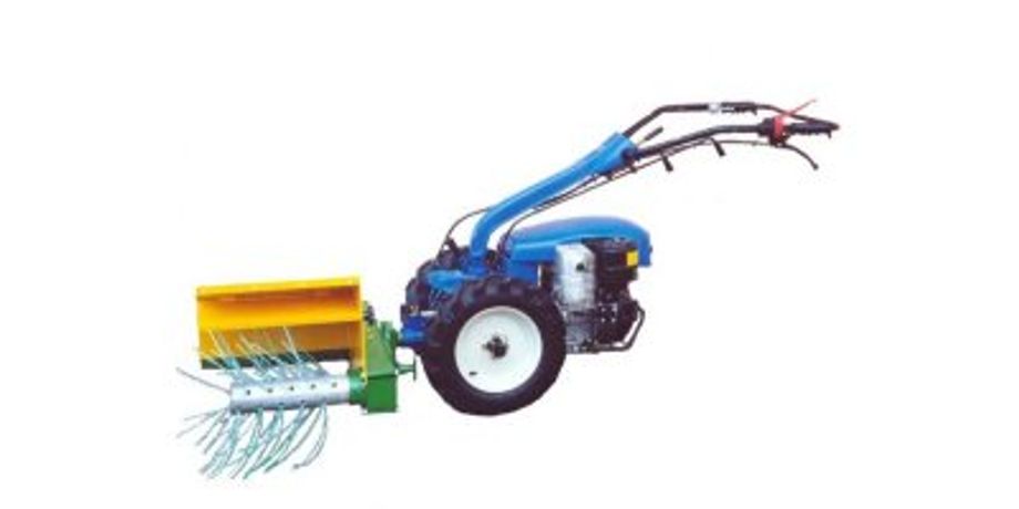 CARLI - Model DT 300 - Brushcutter