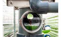 Lgem - Optimization of microalgae production