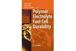 Polymer Electrolyte Fuel Cell Durability