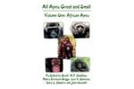 All Apes Great and Small