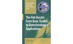The Fish Oocyte