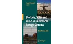 Biofuels, Solar and Wind as Renewable Energy Systems