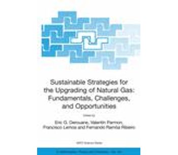 Sustainable Strategies for the Upgrading of Natural Gas: Fundamentals, Challenges, and Opportunities