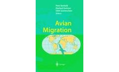 Avian Migration