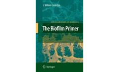 The Biofilm Primer