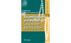 Recombination and Meiosis