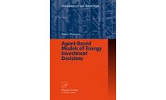 Agent-Based Models of Energy Investment Decisions