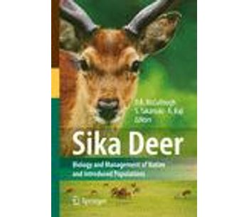 Sika Deer