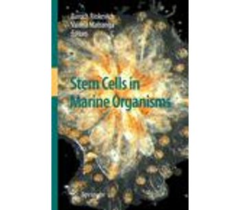 Stem Cells in Marine Organisms