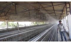 Fogging System in Poultry Farm - Video