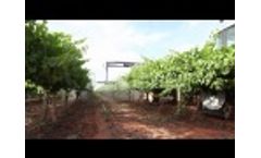 Fungicide Sprayer Video