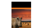 Rhino - Model PT - Hay Tedders Brochure