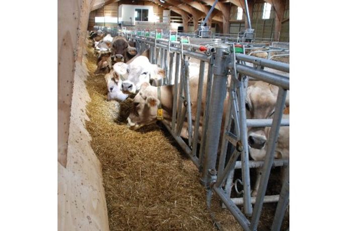 Albouy - Mechanized Cattle Troughs for Stabulation
