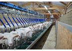 Eurostalle - Linear Milking Platform for Milking Sheep and Goats