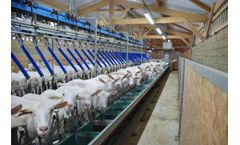 Eurostalle - Linear Milking Platform for Milking Sheep and Goats