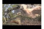 Crazy SLOW MOTION View of Oak Tree Mulched in 10 Minutes with Gyro-Trac GT35 - Part 1 - Video