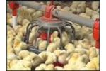 Chore-Time® Revolution® Broiler Feeder - Video