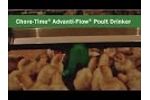 Advanti-Flow Poult Drinker - Video