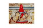 Chore-Time - Model G+ - Poultry Feeder