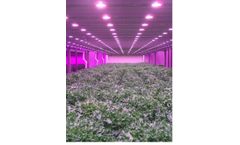 VEK - Indoor/Vertical Farming Services