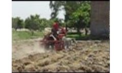 Test of tractor Belarus-311 in Pakistan Video