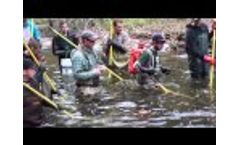 SUNY Cobleskill Electrofishing - Video