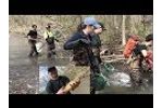 Electrofishing Canastota Creek (Environmental Biology Program at Cazenovia College) - Video