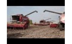Combines the GLC-1420 and RGB-1218 harvesting of sunflower in the Volgograd region Video