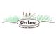 Wetland Studies and Solutions Inc