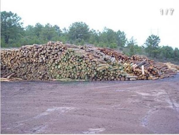 Biomass Treatment Services