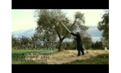 GIULIVO IMPERIAL - The Most Powerful Shaker for Olive Harvest Video